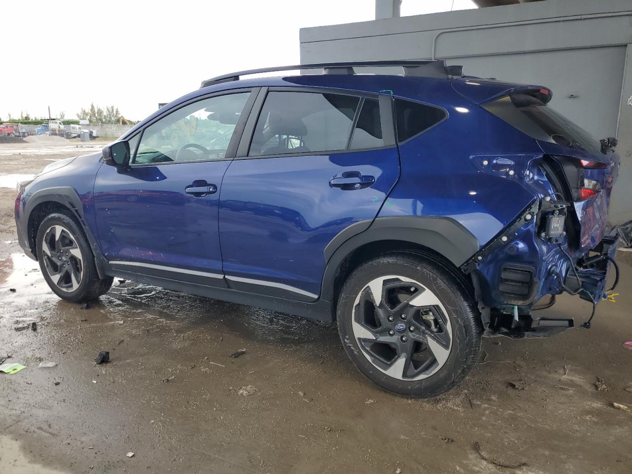 XV XV