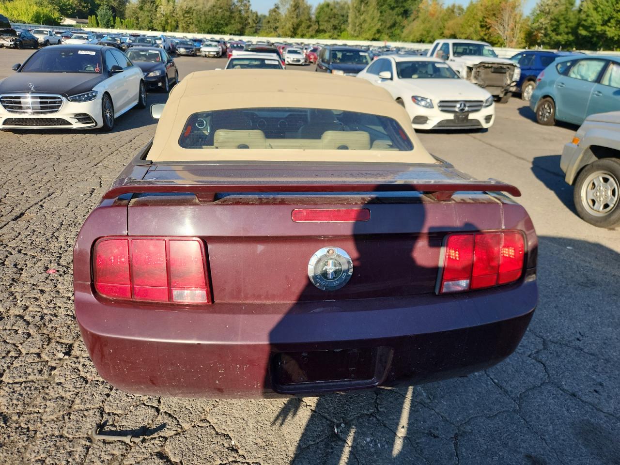 2005 Ford Mustang VIN: 1ZVFT84NX55165695 Lot: 81663855
