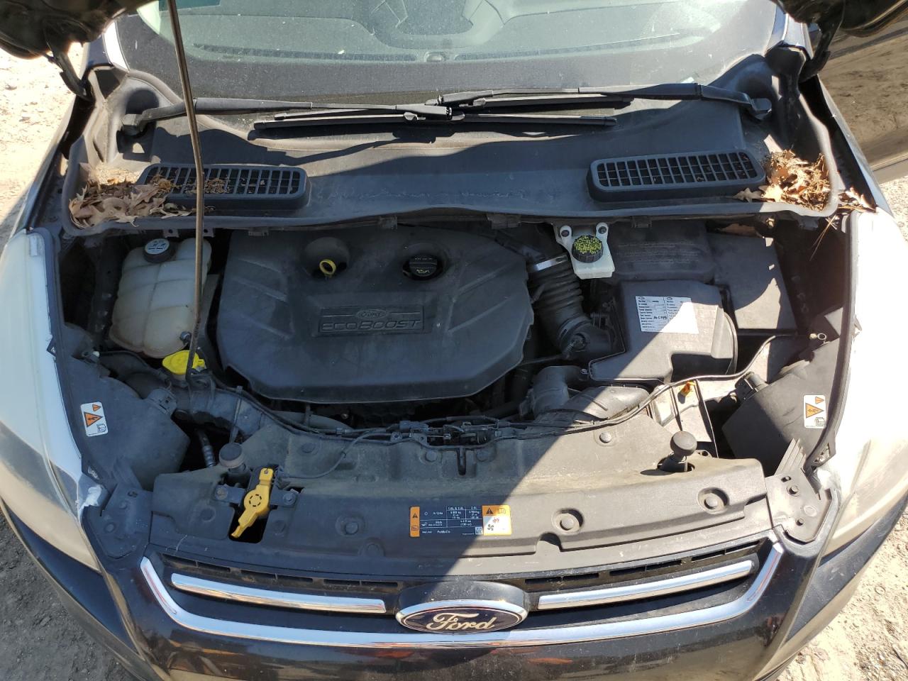 2014 Ford Escape Titanium VIN: 1FMCU0J98EUA03206 Lot: 81315035