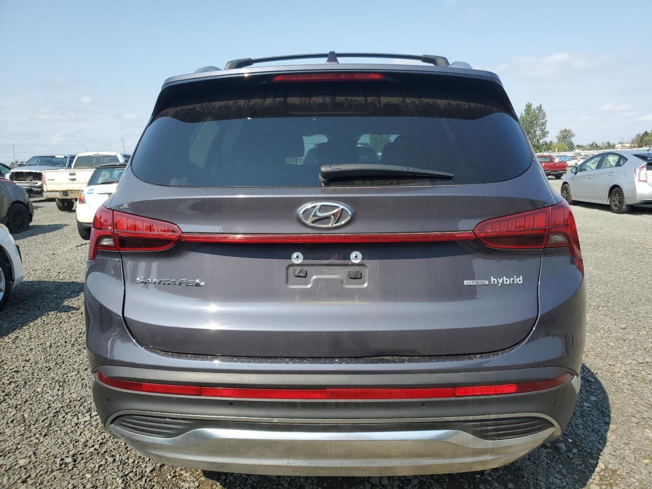 2021 Hyundai Santa Fe Limited VIN: KM8S5DA11MU011754 Lot: 80194875