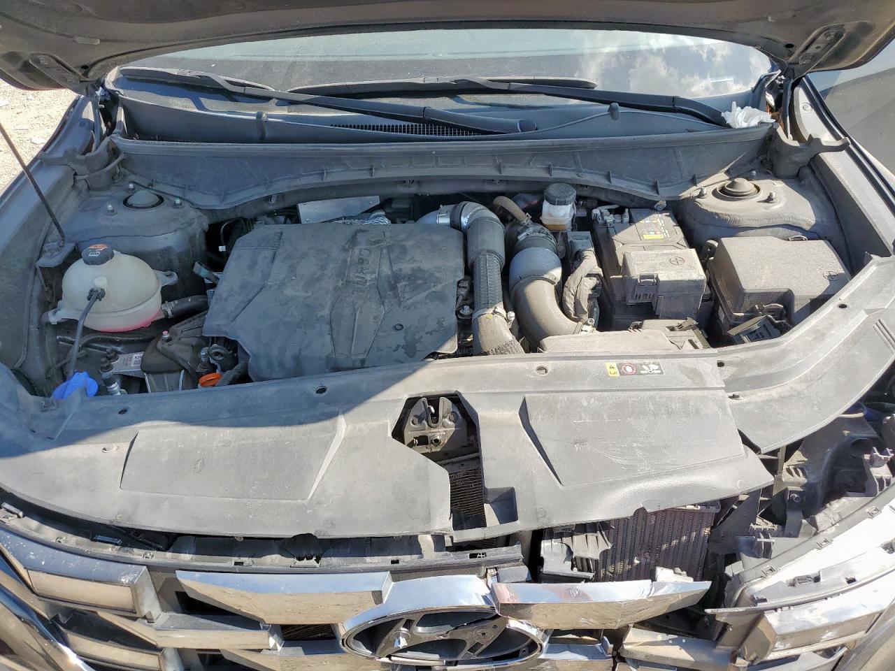 2023 Hyundai Santa Cruz Limited VIN: 5NTJEDAF4PH061754 Lot: 80806645