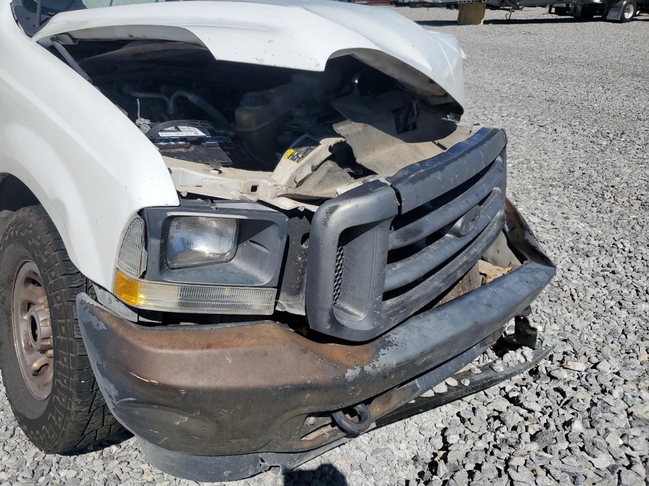 2003 Ford Super Duty F-250 Lar VIN: 1FTNX20LX3EA28841 Lot: 71670385