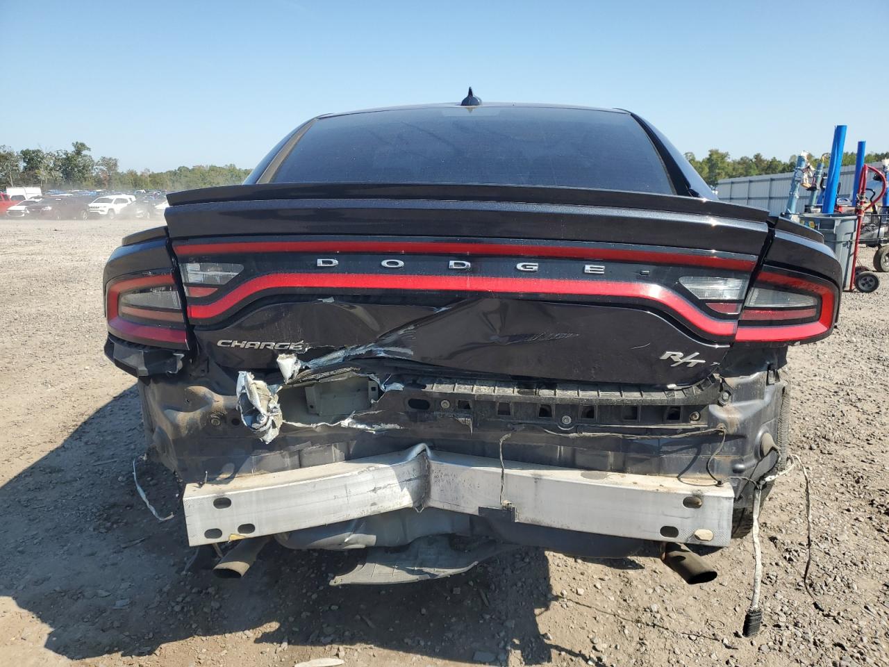 2016 Dodge Charger R/T VIN: 2C3CDXCT8GH203096 Lot: 81375885