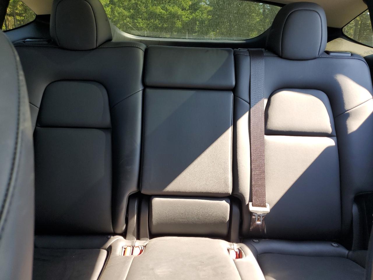 2023 Tesla Model Y VIN: 7SAYGDEE6PF921891 Lot: 82118335