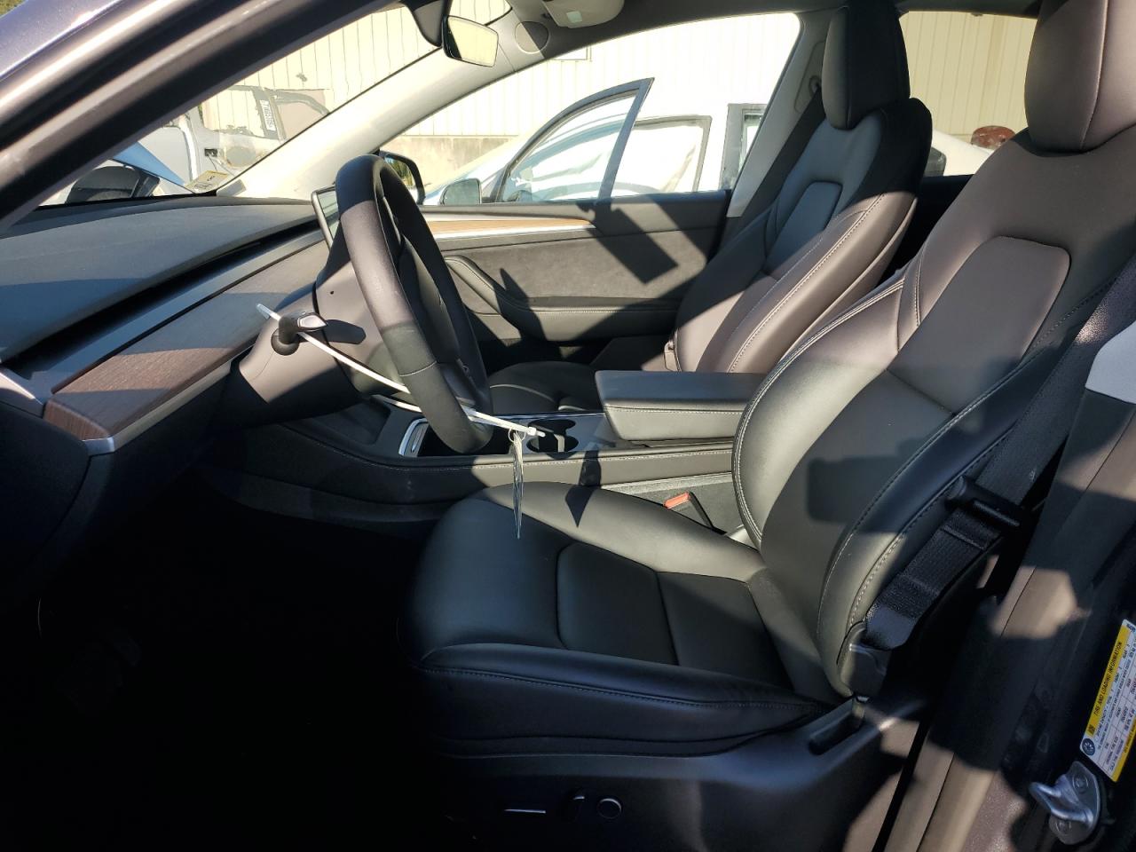 2023 Tesla Model Y VIN: 7SAYGAEE0PF864389 Lot: 81257495