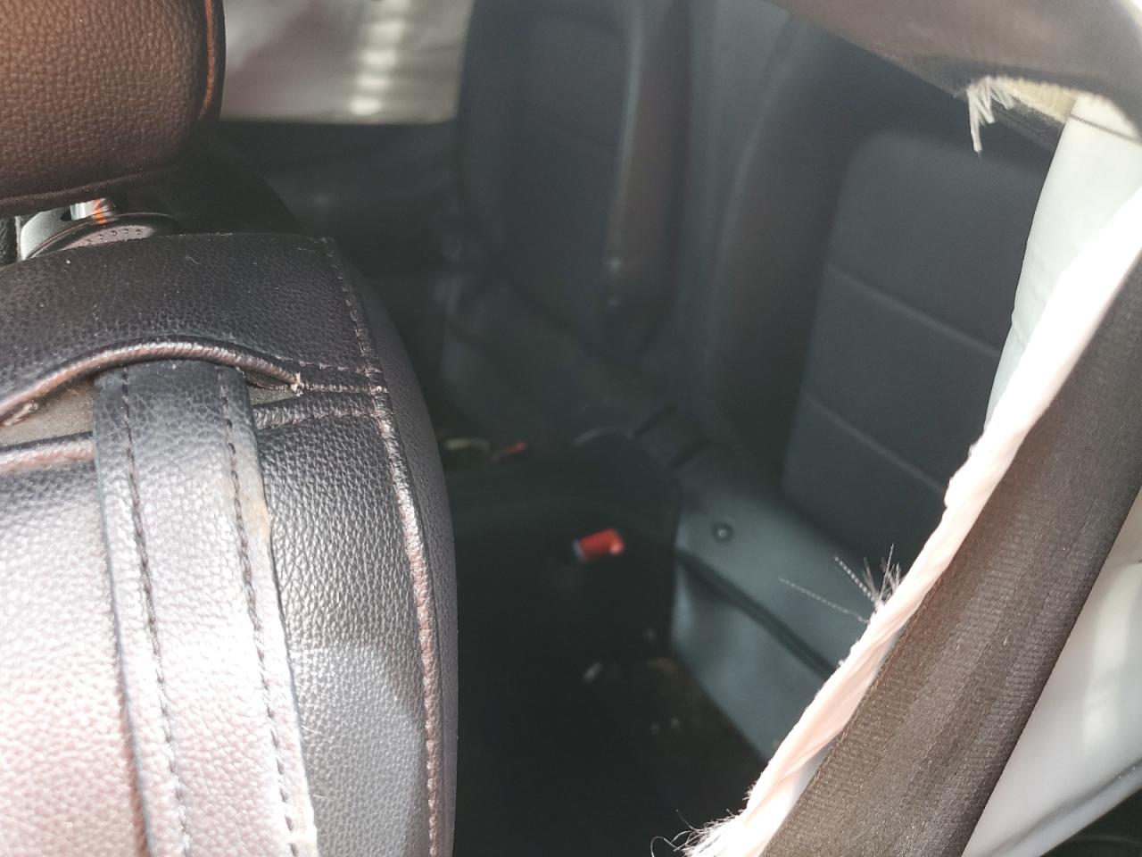 2019 Ford Mustang VIN: 1FA6P8TH2K5186464 Lot: 80819665