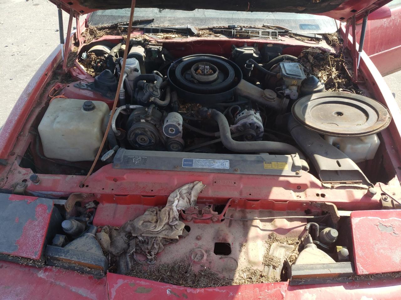 1990 Pontiac Firebird Base VIN: 1G2FS23E2LL220450 Lot: 70379805