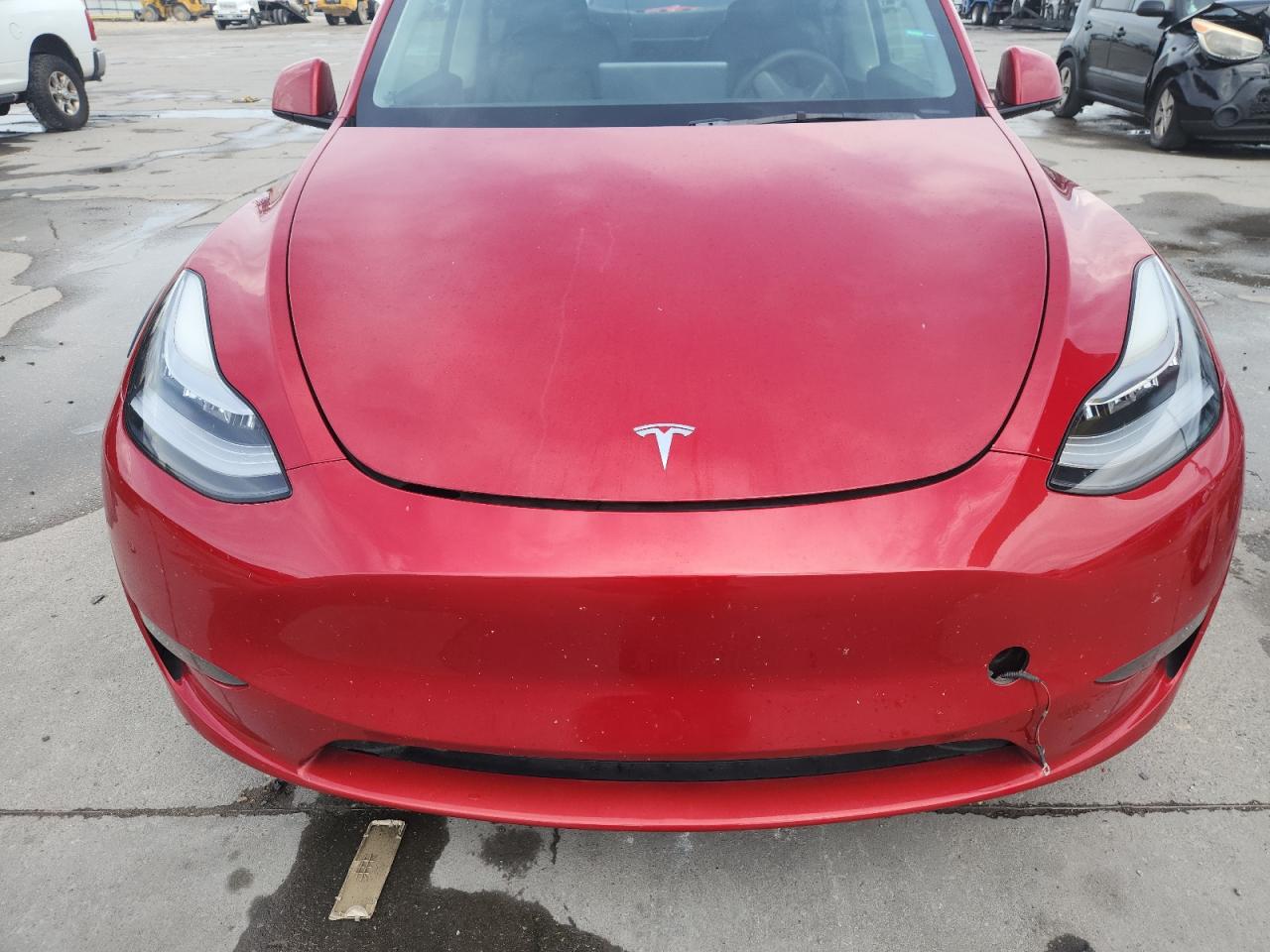 2023 Tesla Model Y VIN: 7SAYGDEE3PA029336 Lot: 81569825