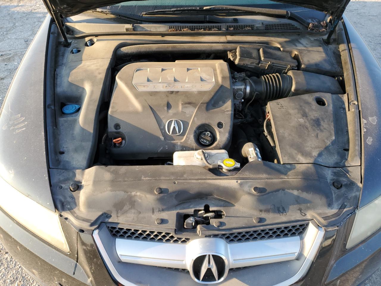 2007 Acura Tl VIN: 19UUA66277A038261 Lot: 72068465