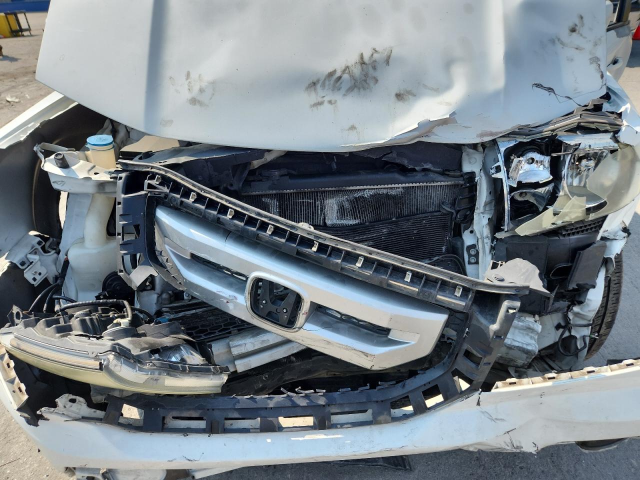 2011 Honda Pilot Exln VIN: 5FNYF4H72BB007501 Lot: 81096955