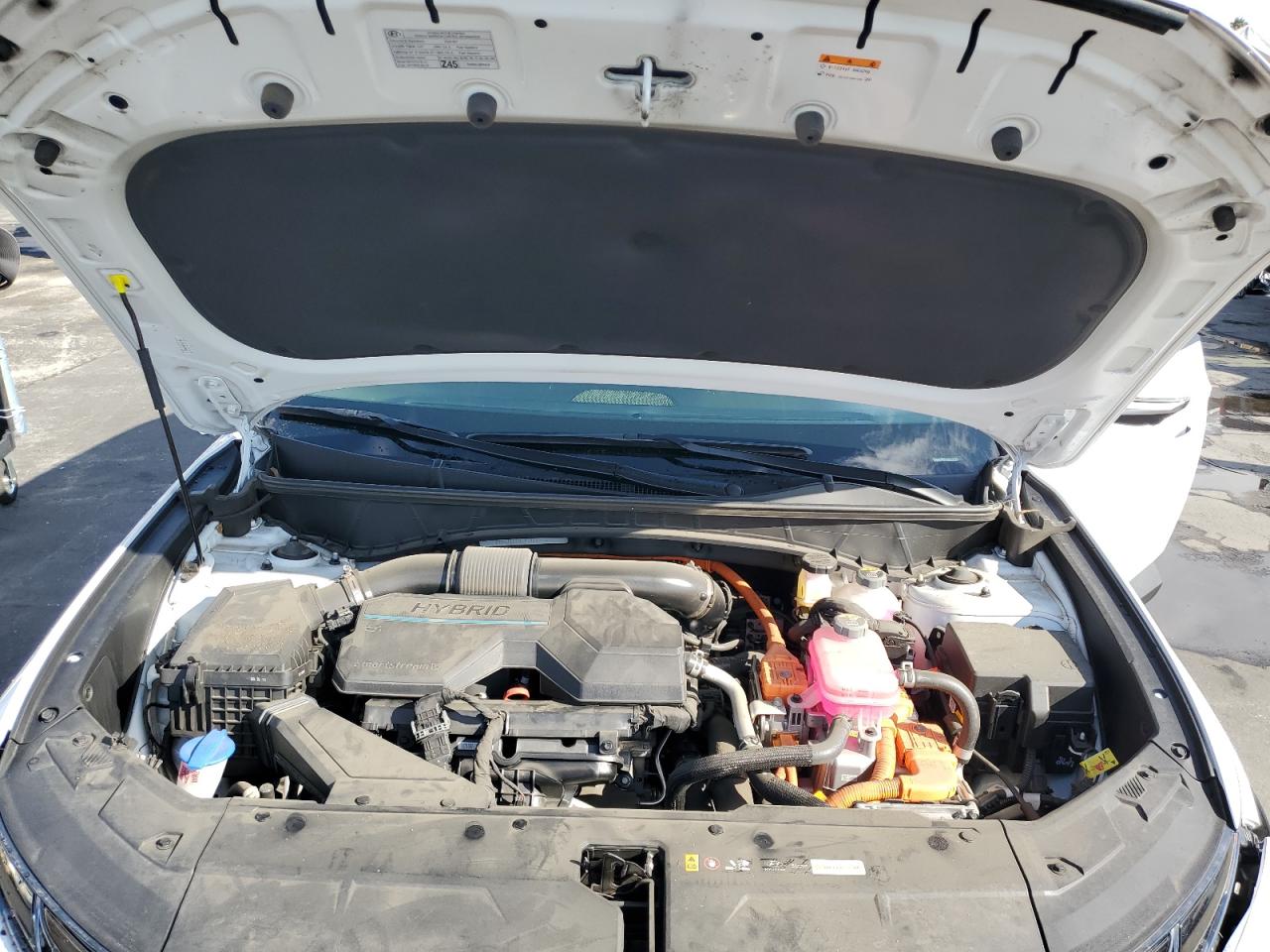 2024 Hyundai Tucson Limited VIN: KM8JECD13RU229221 Lot: 81513345