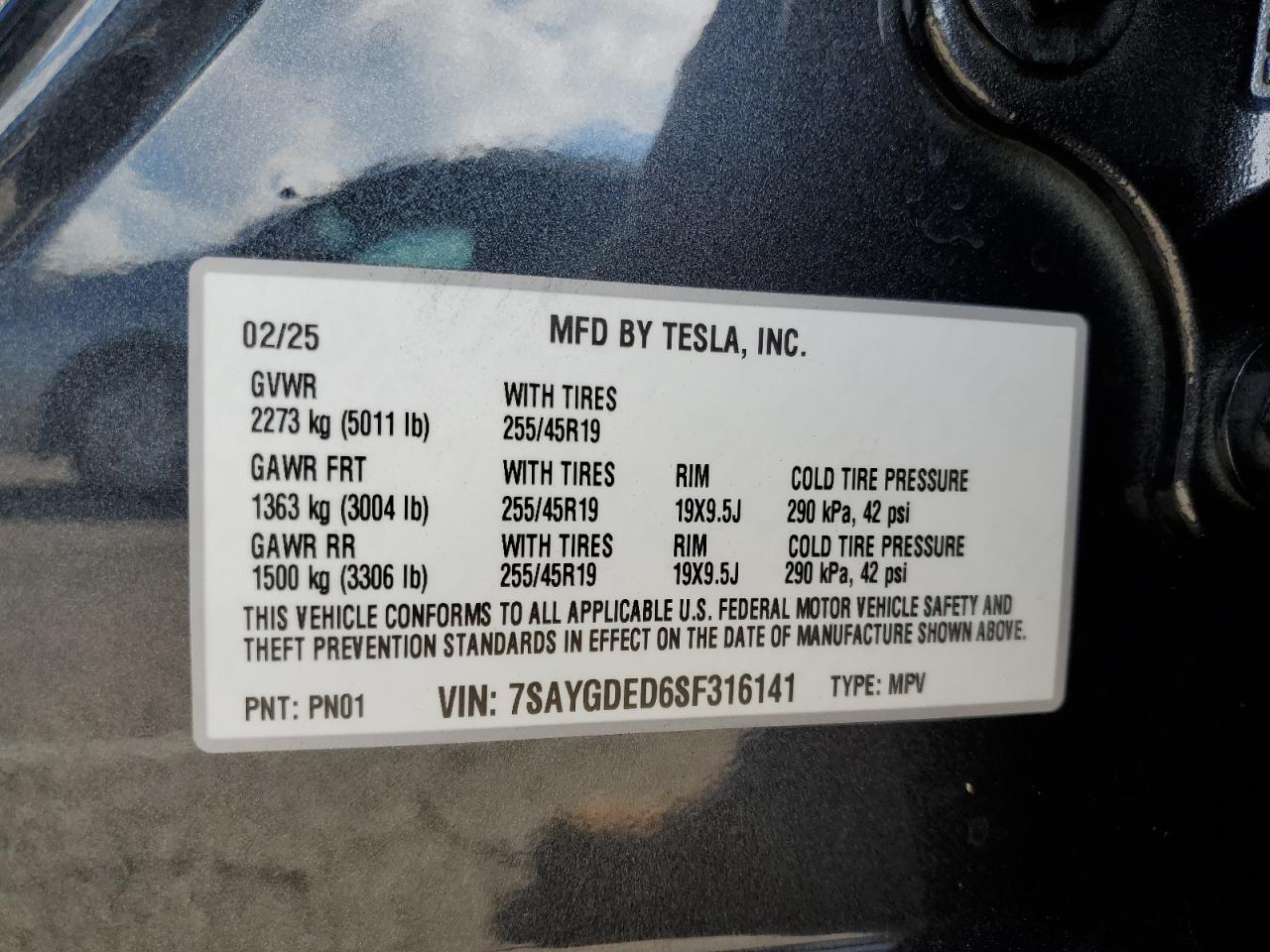 2025 Tesla Model Y VIN: 7SAYGDED6SF316141 Lot: 81615715