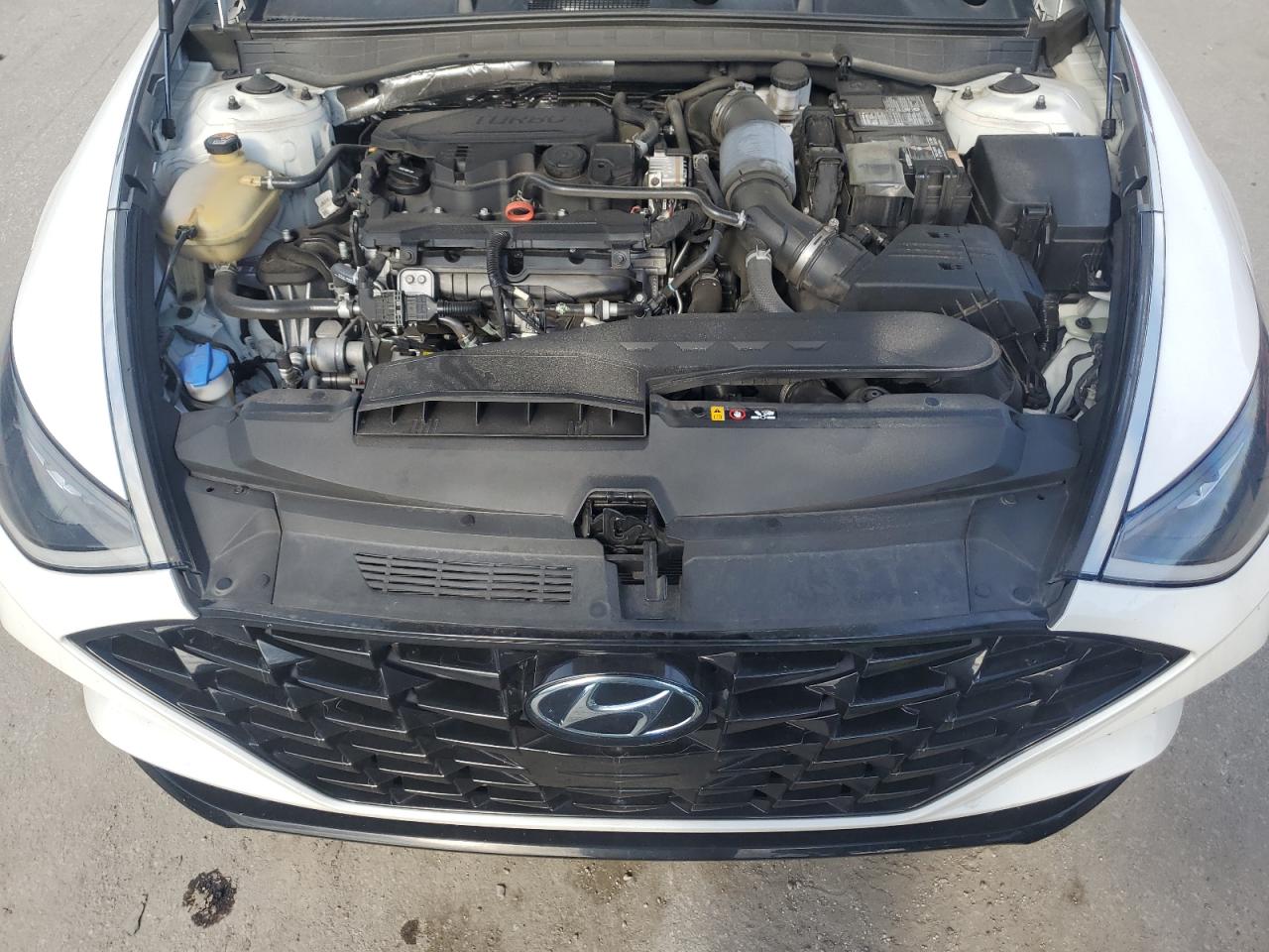 2021 Hyundai Sonata Sel Plus VIN: 5NPEJ4J20MH125051 Lot: 80538185