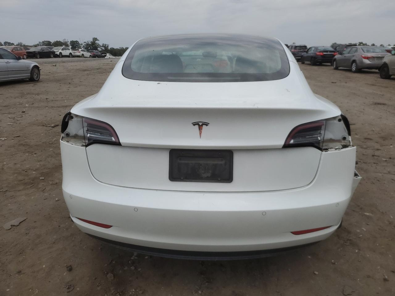 2021 Tesla Model 3 VIN: 5YJ3E1EA1MF854296 Lot: 82061895