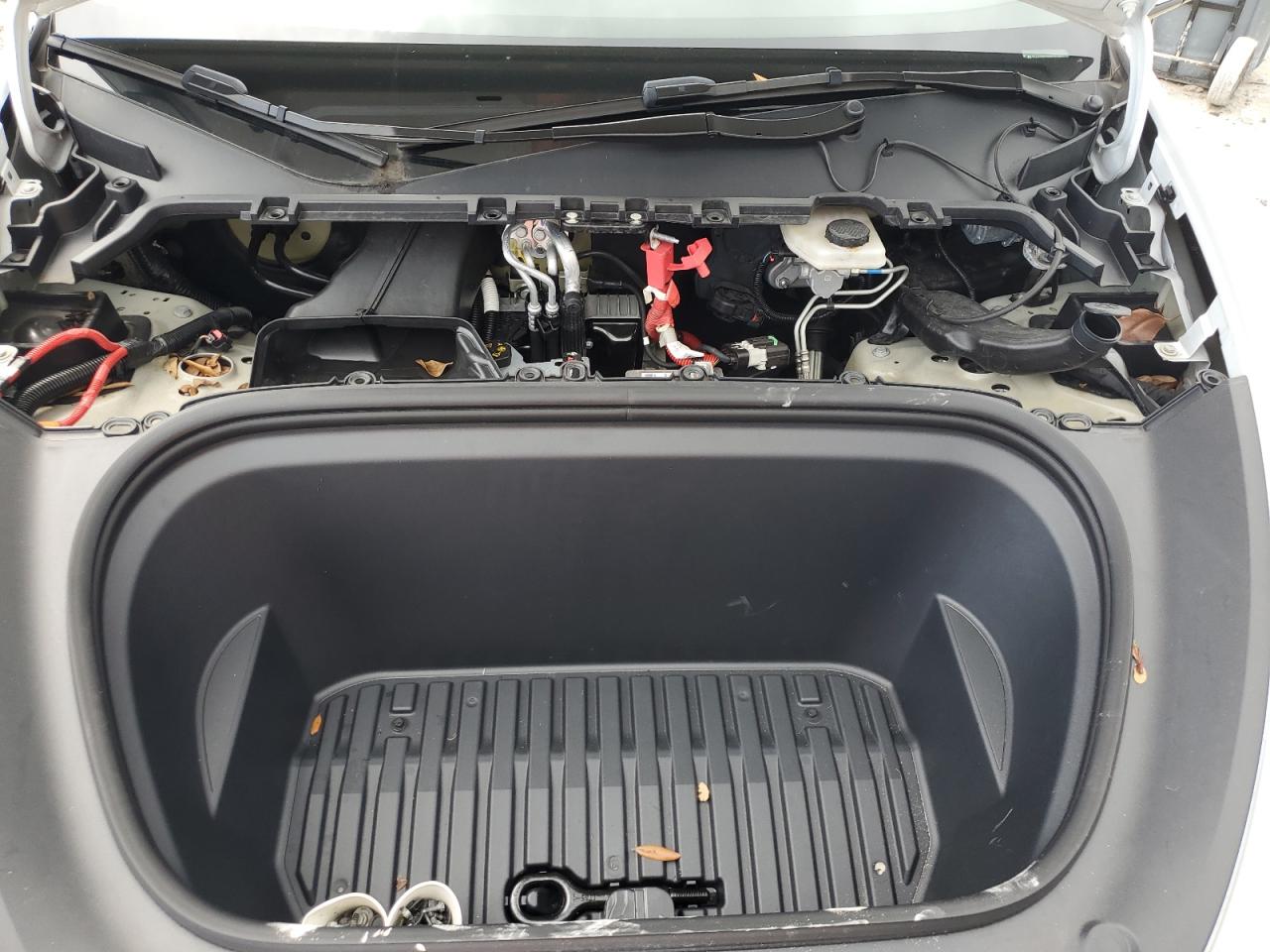 2024 Tesla Model Y VIN: 7SAYGDED0RF003483 Lot: 80616995