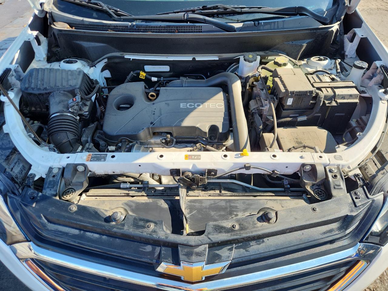 2021 Chevrolet Equinox Lt VIN: 2GNAXTEV1M6139130 Lot: 70331755