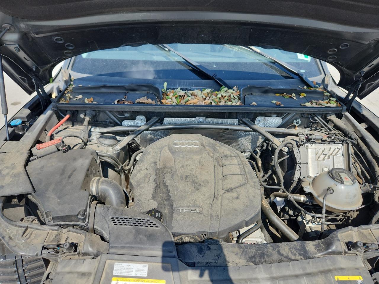 2018 Audi Q5 Premium Plus VIN: WA1BNAFY8J2227417 Lot: 80651785