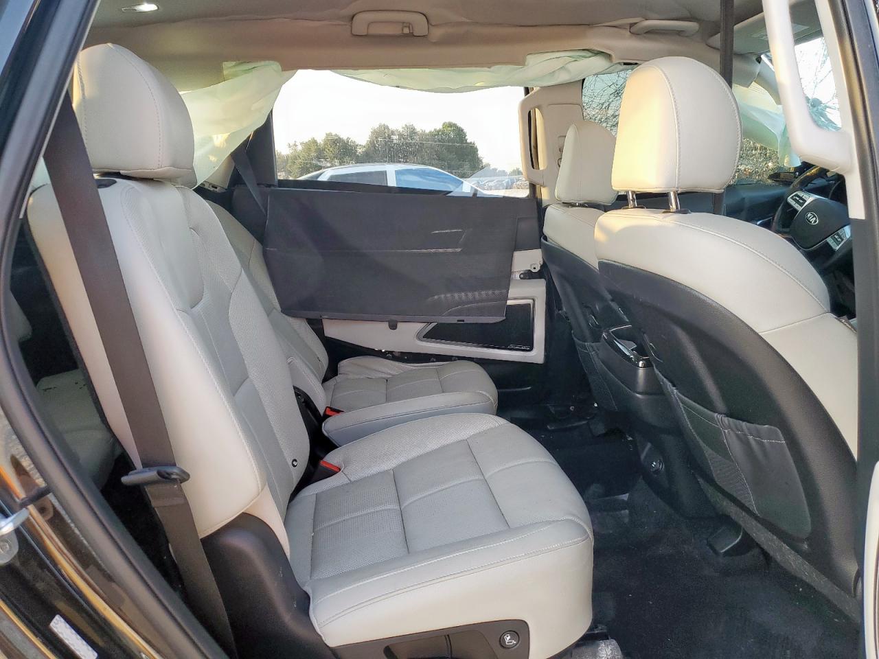 2021 Kia Telluride Sx VIN: 5XYP54HC1MG114496 Lot: 81195685