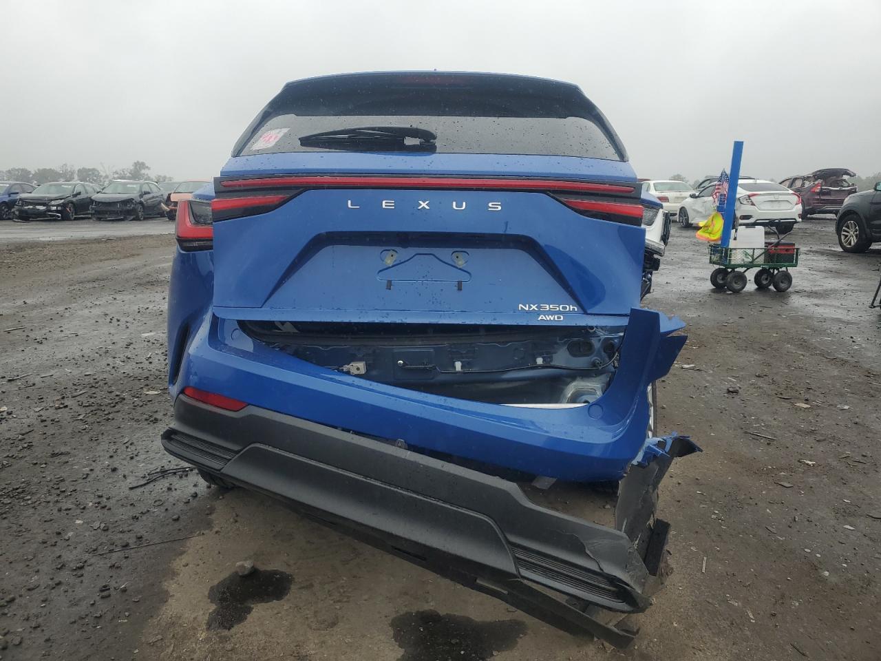 2025 Lexus Nx 350H Base VIN: 2T2GKCEZ8SC055298 Lot: 80081325