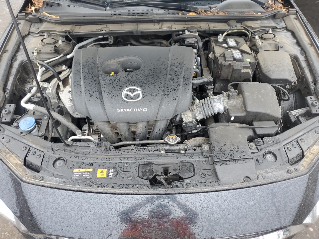 2019 Mazda 3 Preferred Plus VIN: JM1BPACL9K1113894 Lot: 84722275