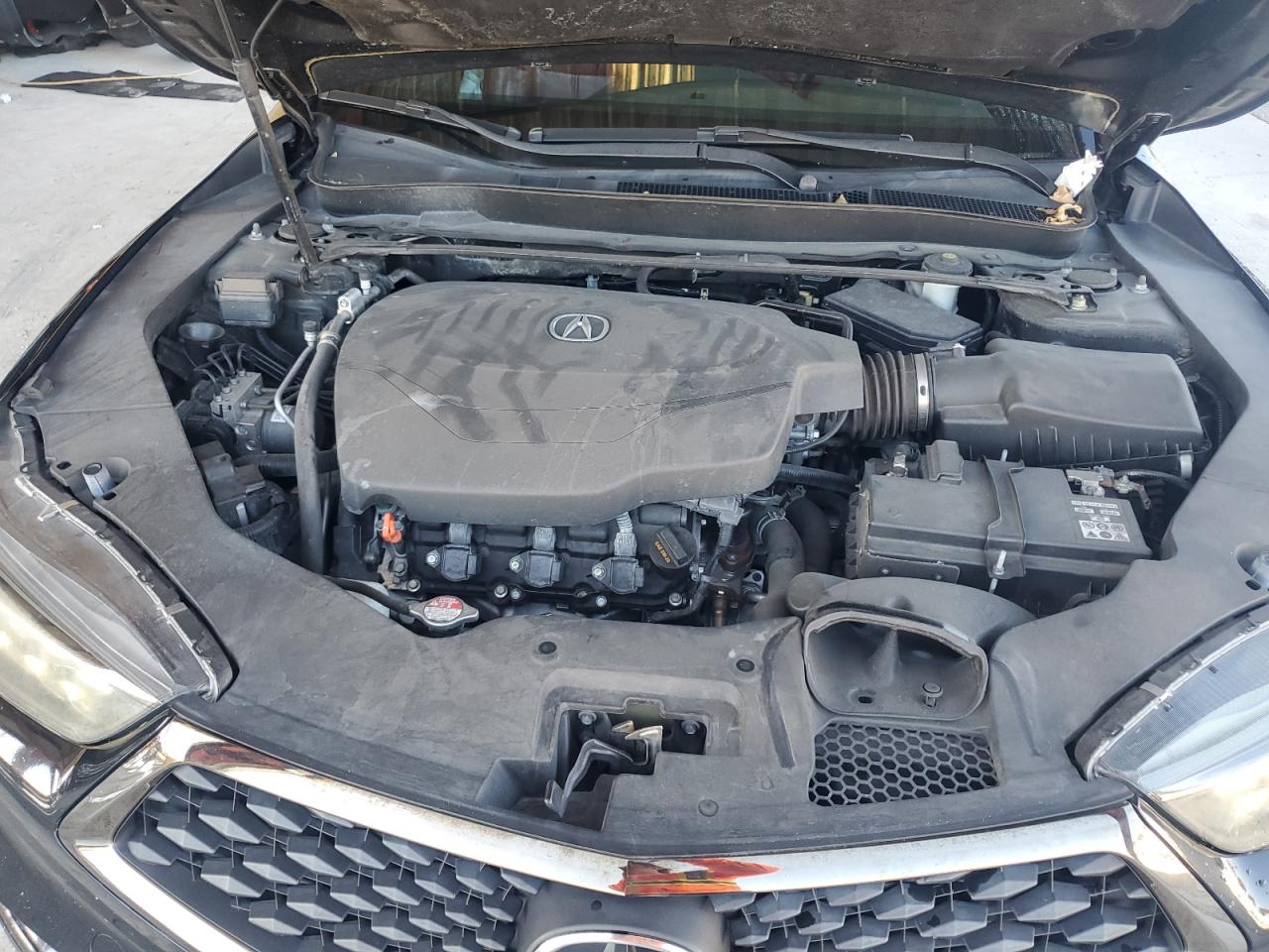 2019 Acura Tlx Technology VIN: 19UUB2F63KA006862 Lot: 71971005