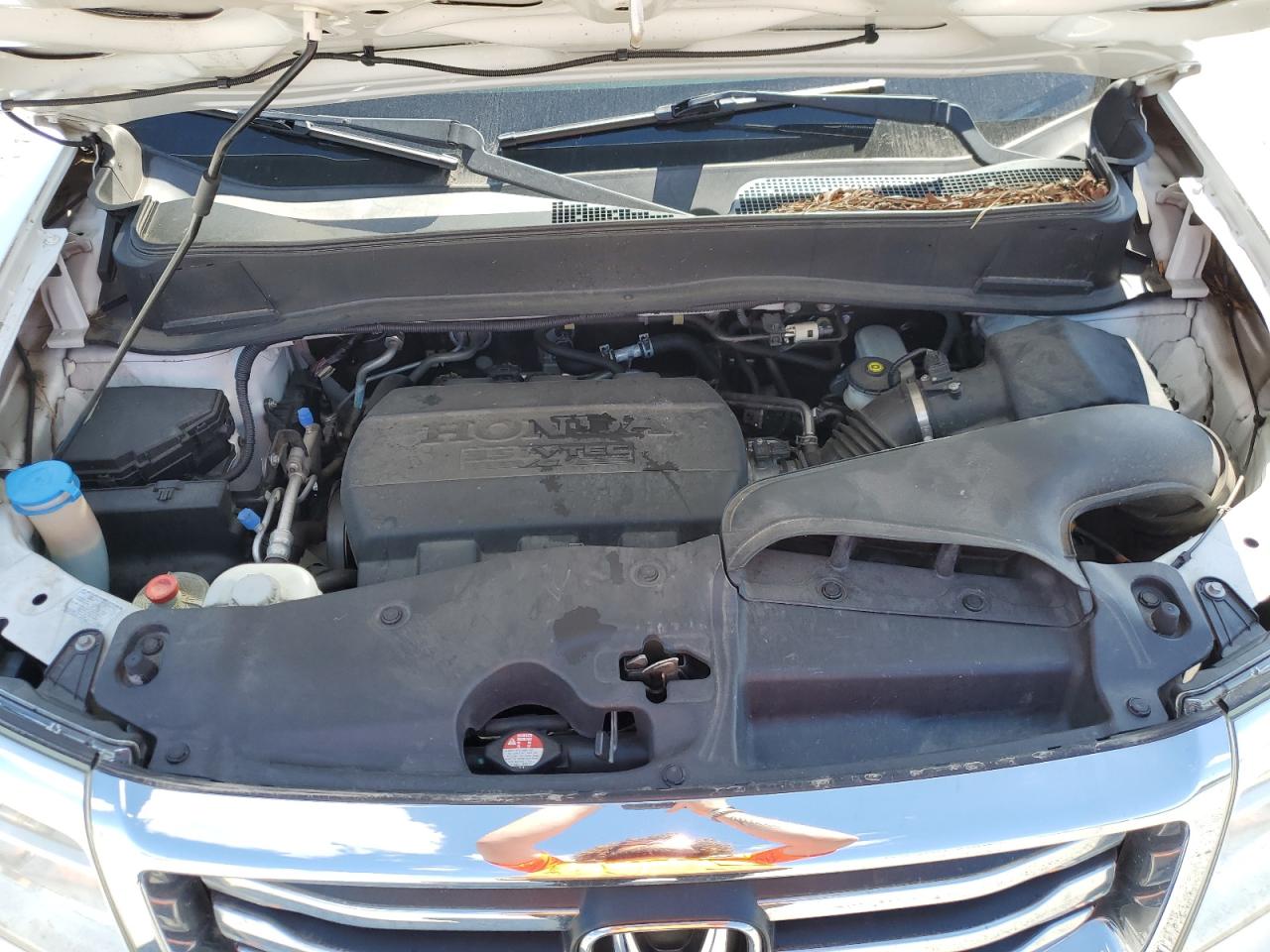 2014 Honda Pilot Exl VIN: 5FNYF4H58EB021468 Lot: 80562335