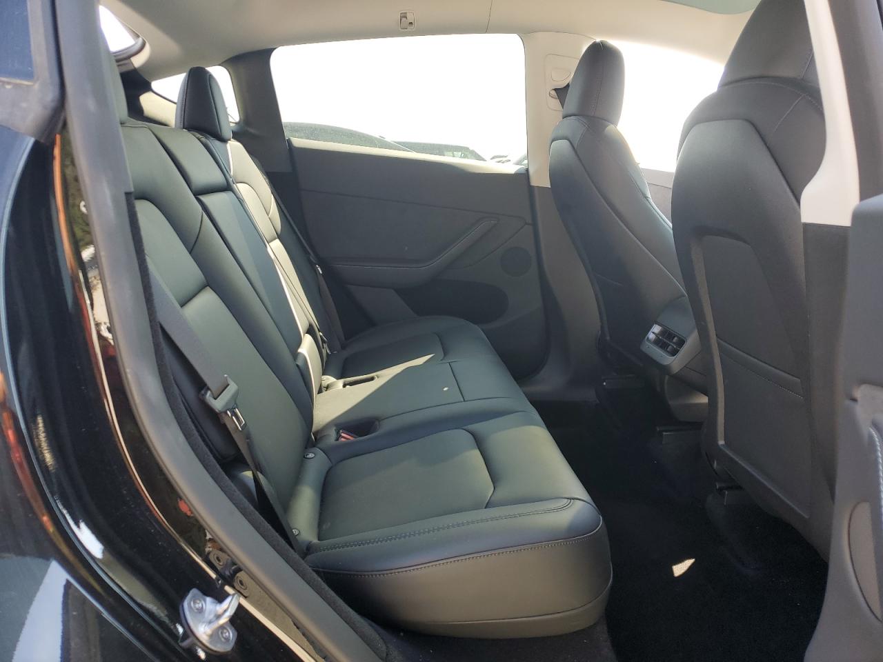 2023 Tesla Model Y VIN: 7SAYGDEE4PA143135 Lot: 81751105