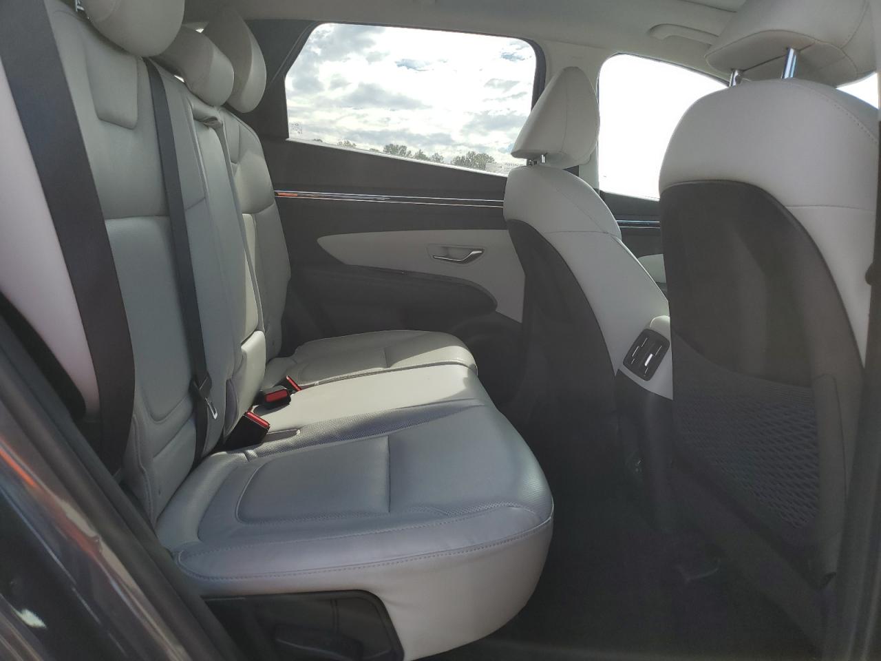 2022 Hyundai Tucson Limited VIN: KM8JE3AE1NU061077 Lot: 81725955