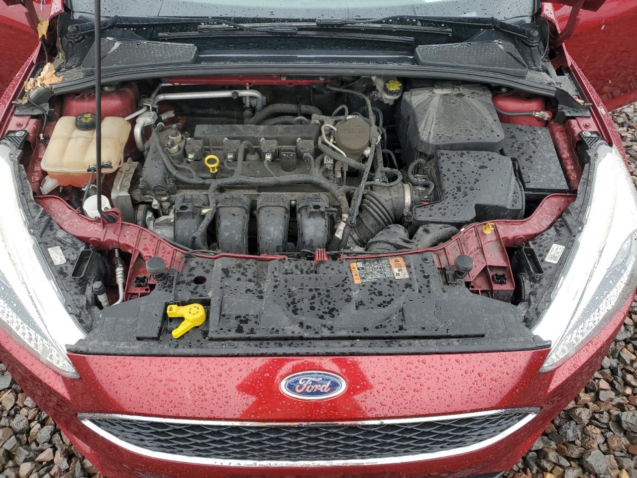 2015 Ford Focus Se VIN: 1FADP3F22FL287877 Lot: 81648415