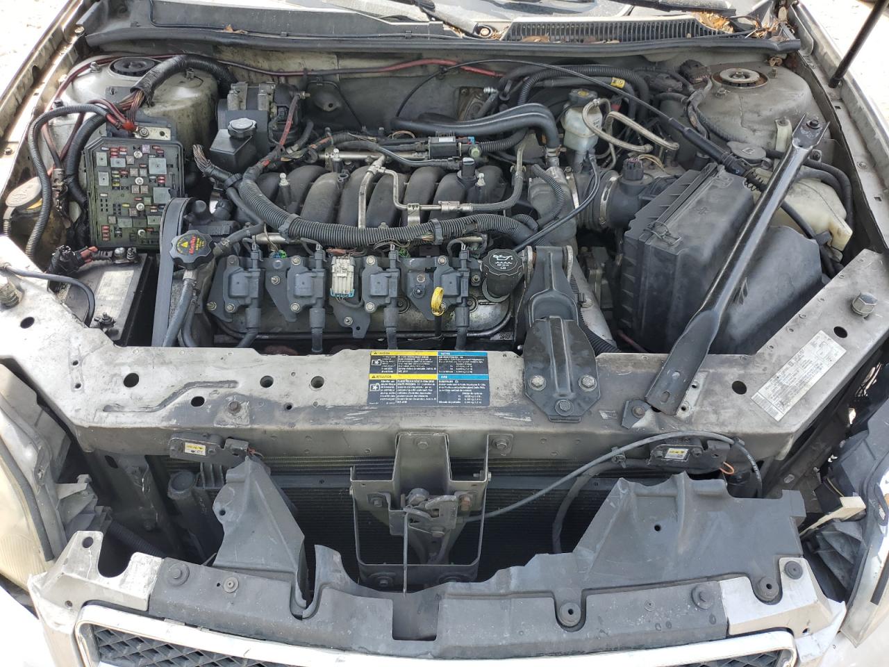 2006 Chevrolet Monte Carlo Ss VIN: 2G1WL15C669351982 Lot: 81002955