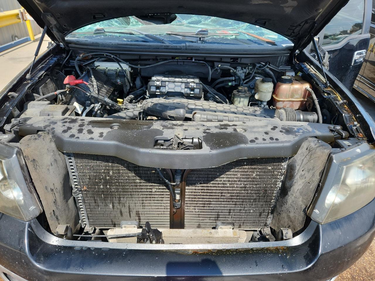 2006 Ford F150 Supercrew VIN: 1FTPW14516KA81810 Lot: 80309335