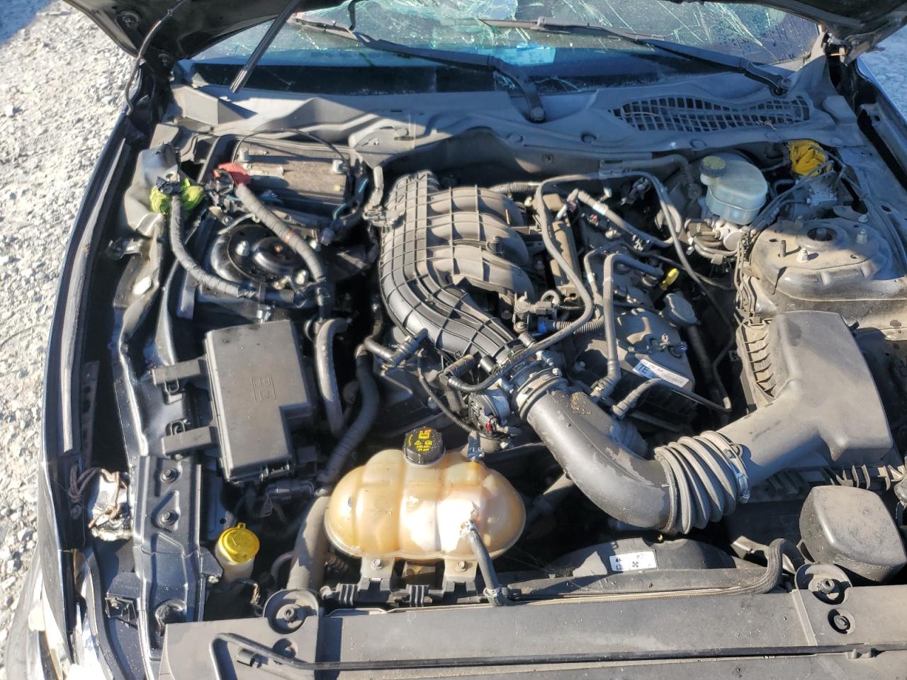 2015 Ford Mustang VIN: 1FA6P8AM6F5373874 Lot: 71000075