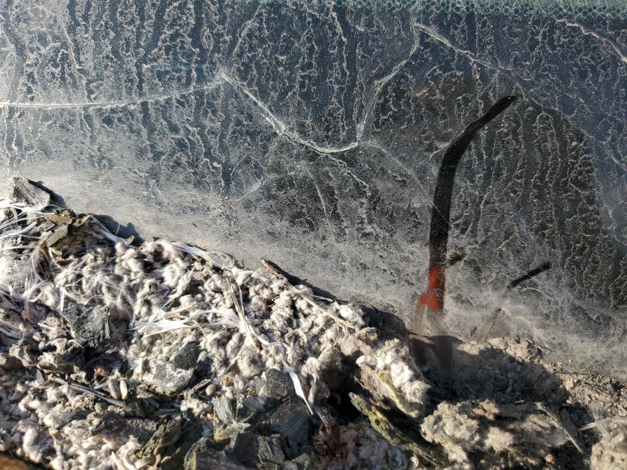 2012 Honda Ridgeline Rtl VIN: 5FPYK1F50CB453117 Lot: 71037035