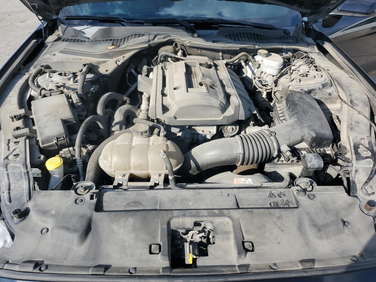 2018 Ford Mustang VIN: 1FA6P8TH7J5123228 Lot: 80760085