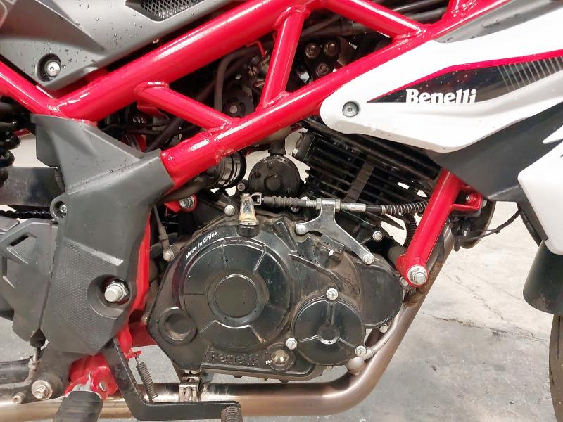 2023 BENELLI BN 125 E5 