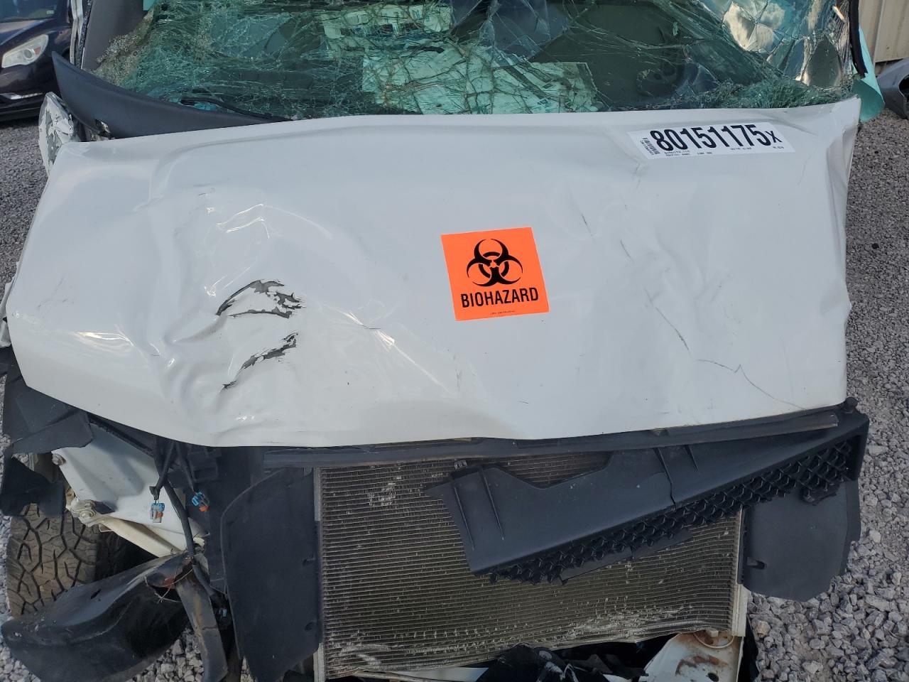 2020 Chevrolet Express G2500 VIN: 1GCWGAFP1L1262706 Lot: 80151175