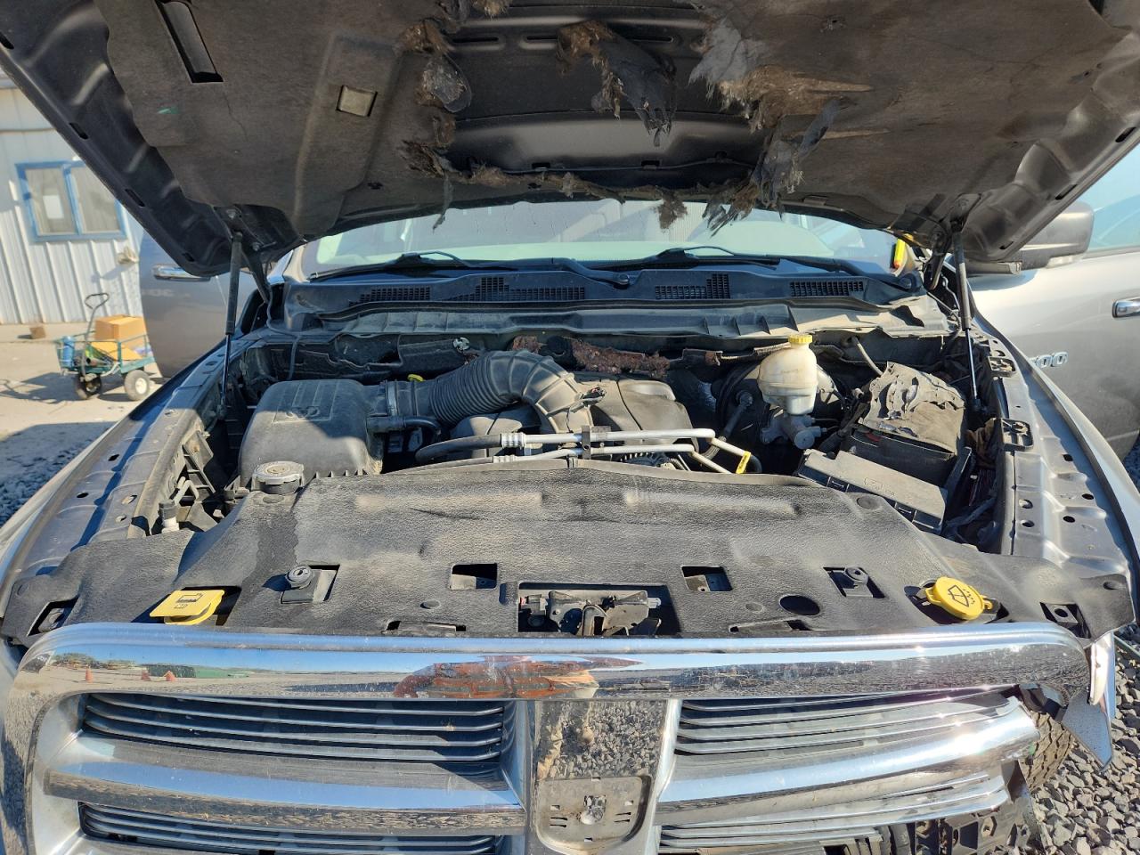 2011 Dodge Ram 1500 VIN: 1D7RB1CT4BS530059 Lot: 80398675