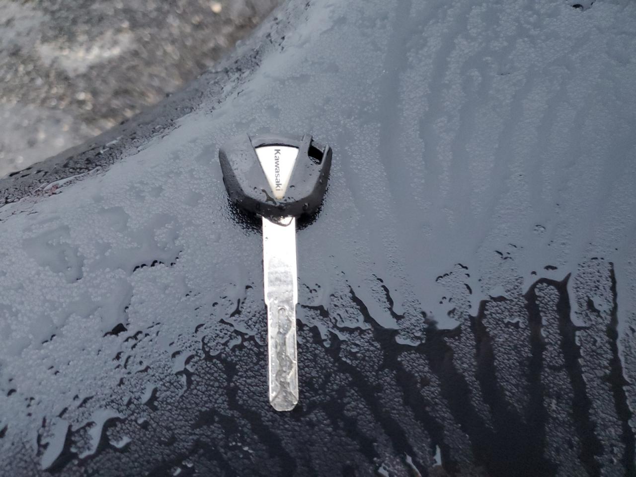 2025 Kawasaki Ex500 VIN: ML5EXGG10SDA51659 Lot: 81724215