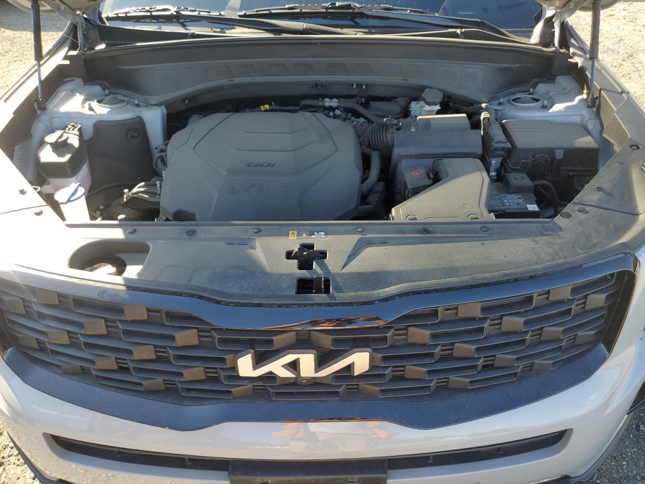 2022 Kia Telluride Sx VIN: 5XYP5DHC1NG212901 Lot: 80806705