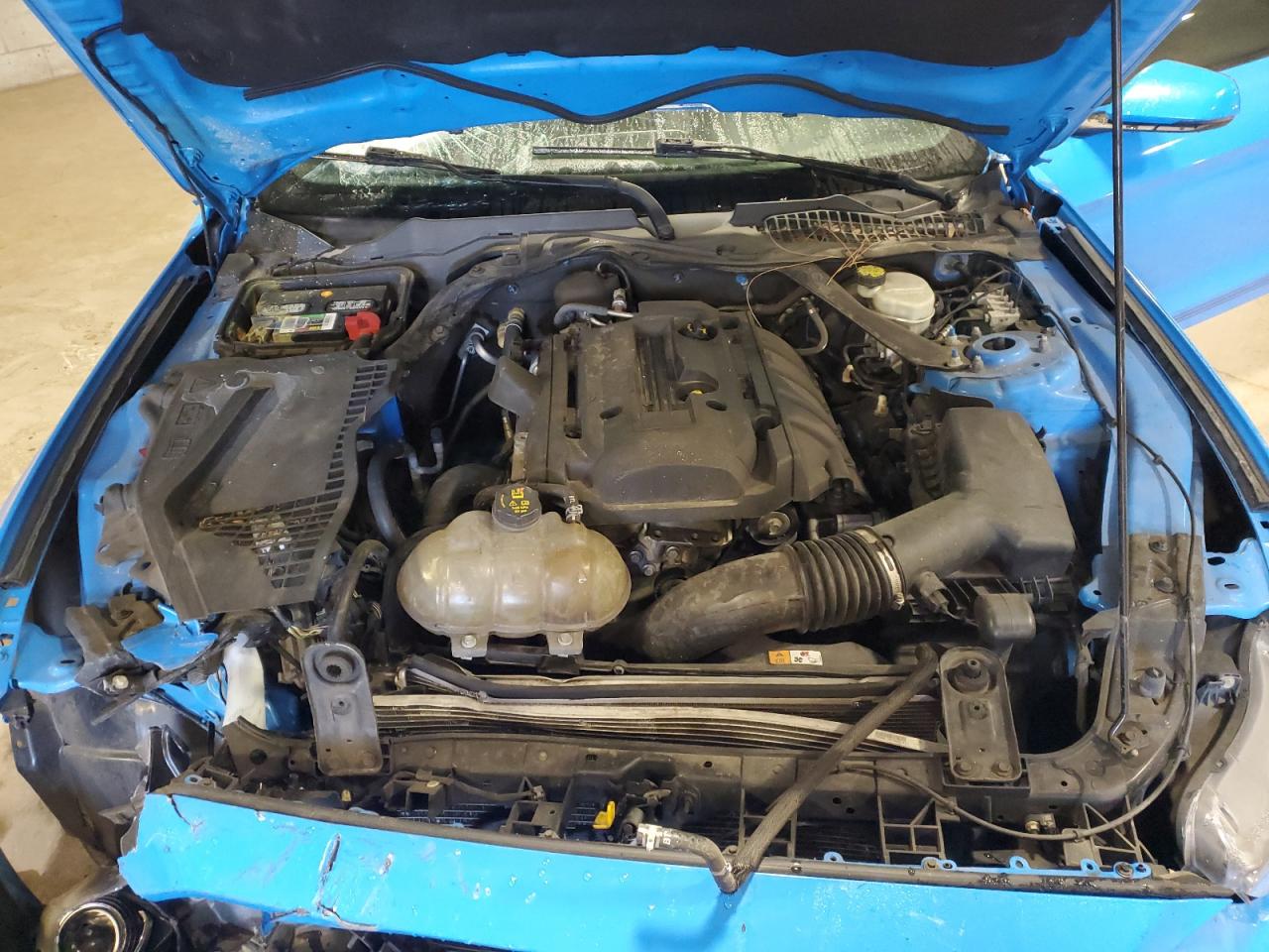 2017 Ford Mustang VIN: 1FATP8UH1H5317619 Lot: 84442105