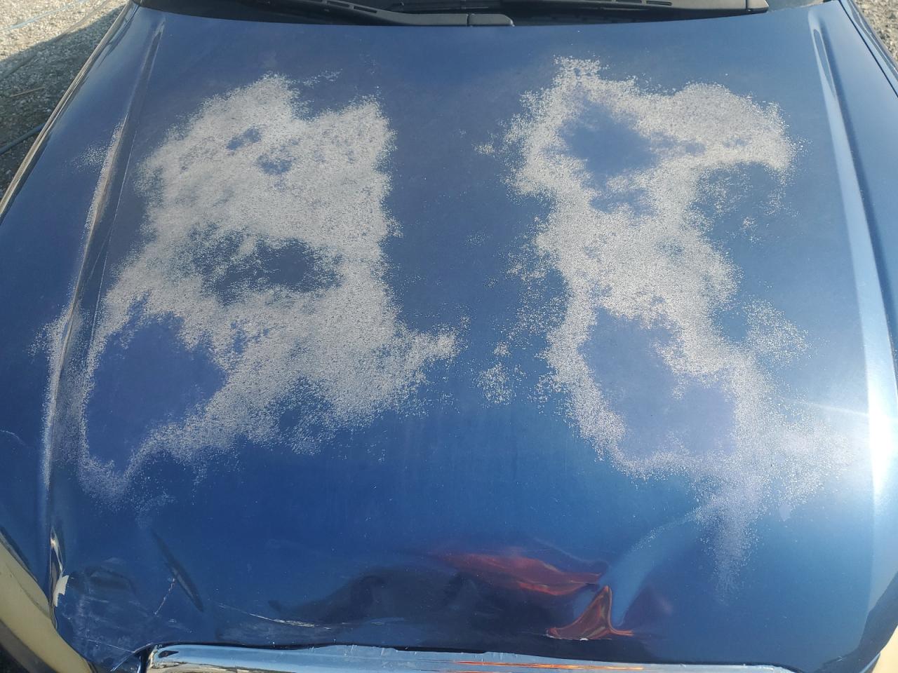 2005 Audi A4 3.2 Quattro VIN: WAUDG68E75A444779 Lot: 81041445