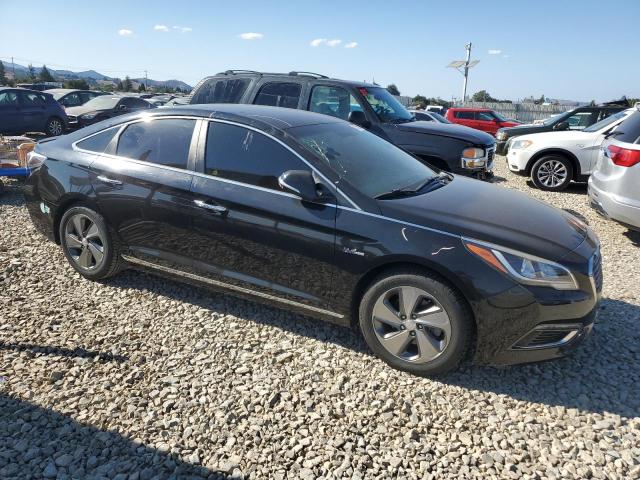  HYUNDAI SONATA 2017 Черный