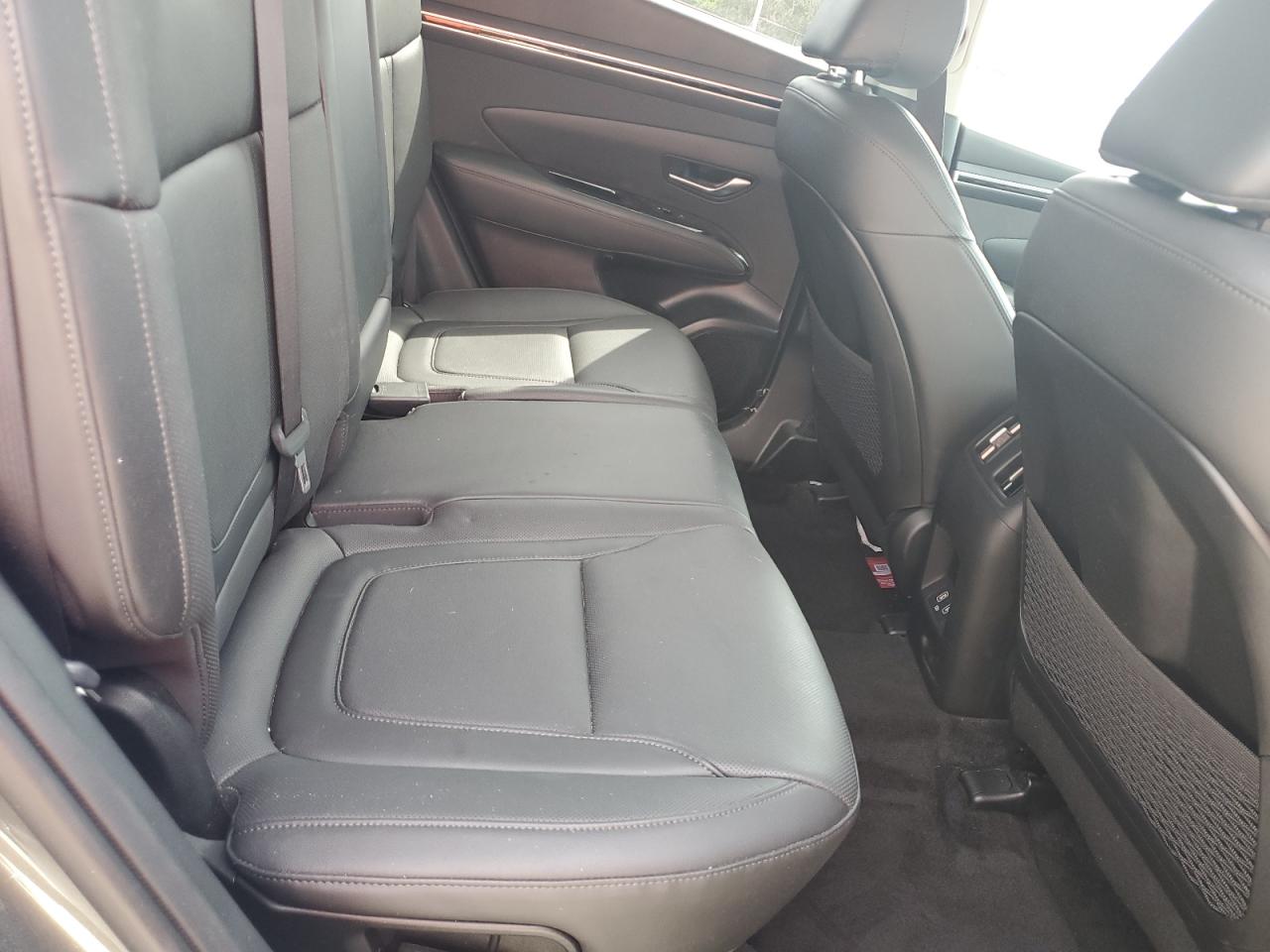 2023 Hyundai Tucson Limited VIN: 5NMJECAEXPH162858 Lot: 81158825