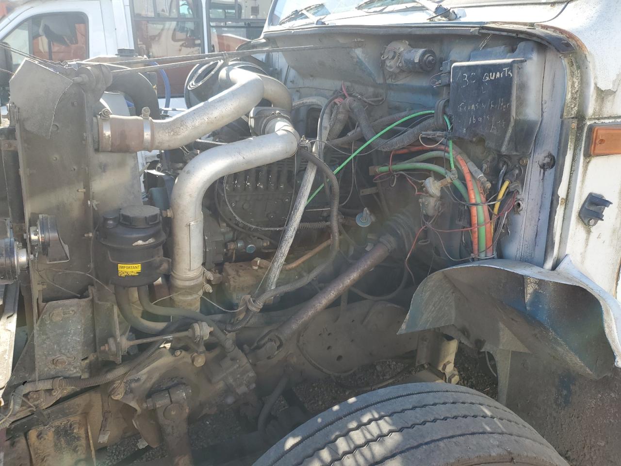 1996 International 4000 4700 - Semi Truck VIN: 1HTSLAAL9TH282257 Lot: 82050915