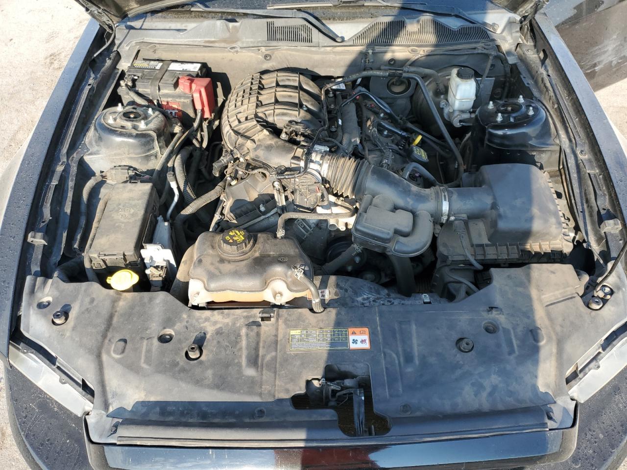 2013 Ford Mustang VIN: 1ZVBP8AM0D5279170 Lot: 80077695