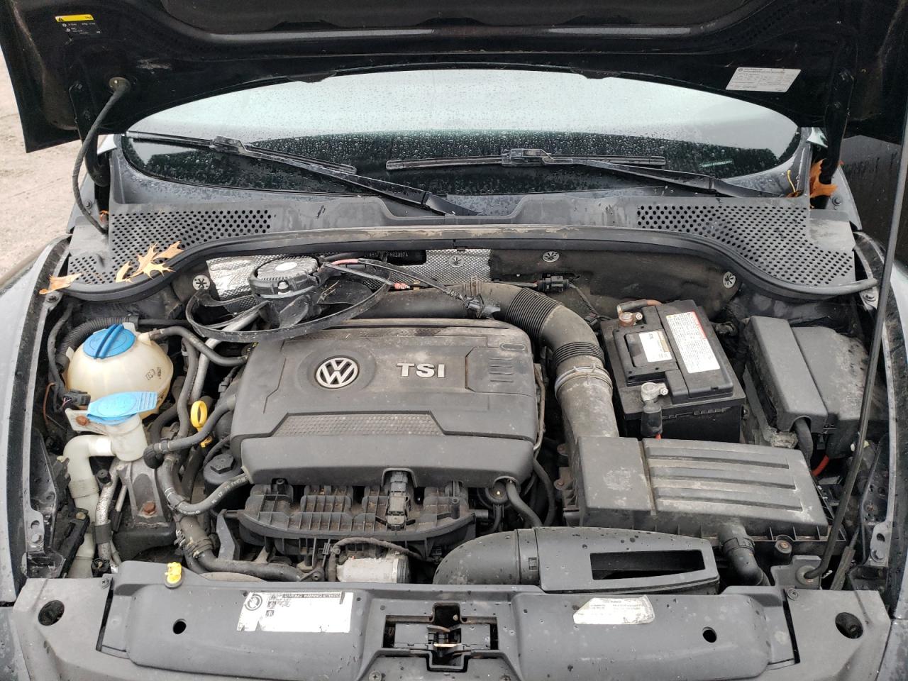 2015 Volkswagen Beetle 1.8T VIN: 3VWH17AT5FM623974 Lot: 81707105
