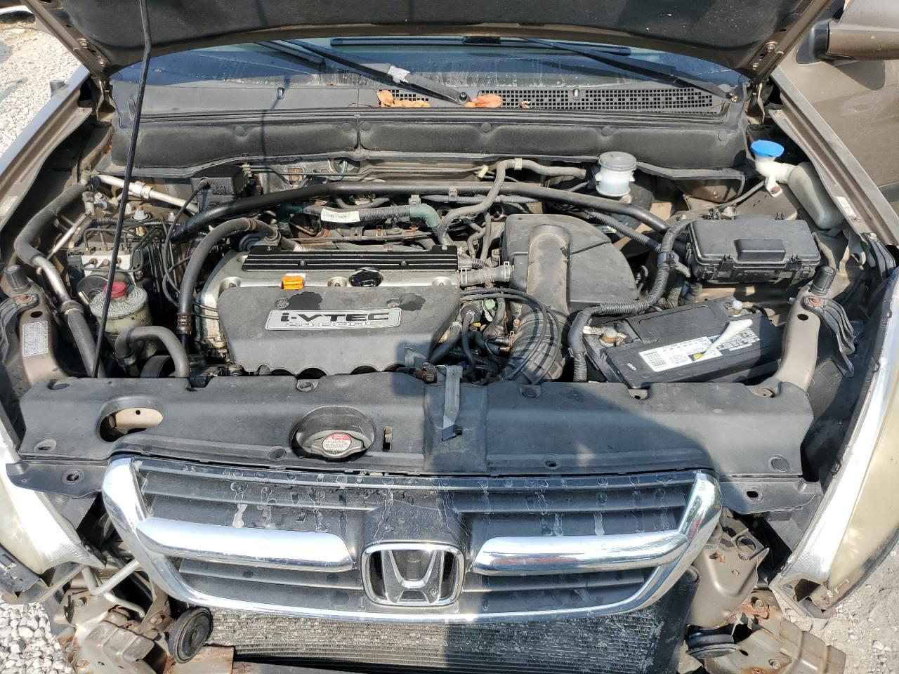 2004 Honda Cr-V Ex VIN: SHSRD788X4U217912 Lot: 81015325