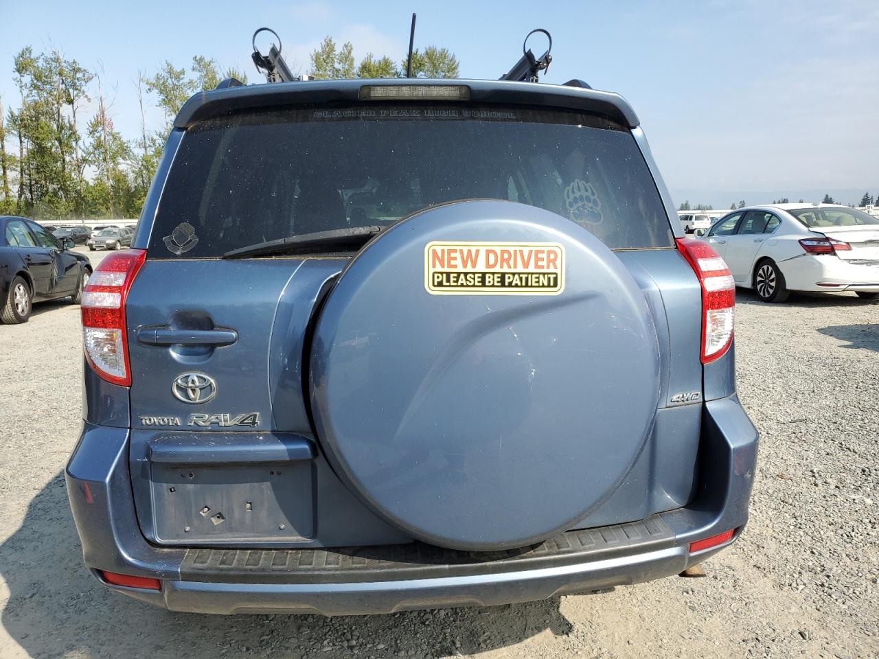 2010 Toyota Rav4 VIN: 2T3JF4DV4AW037372 Lot: 80480645