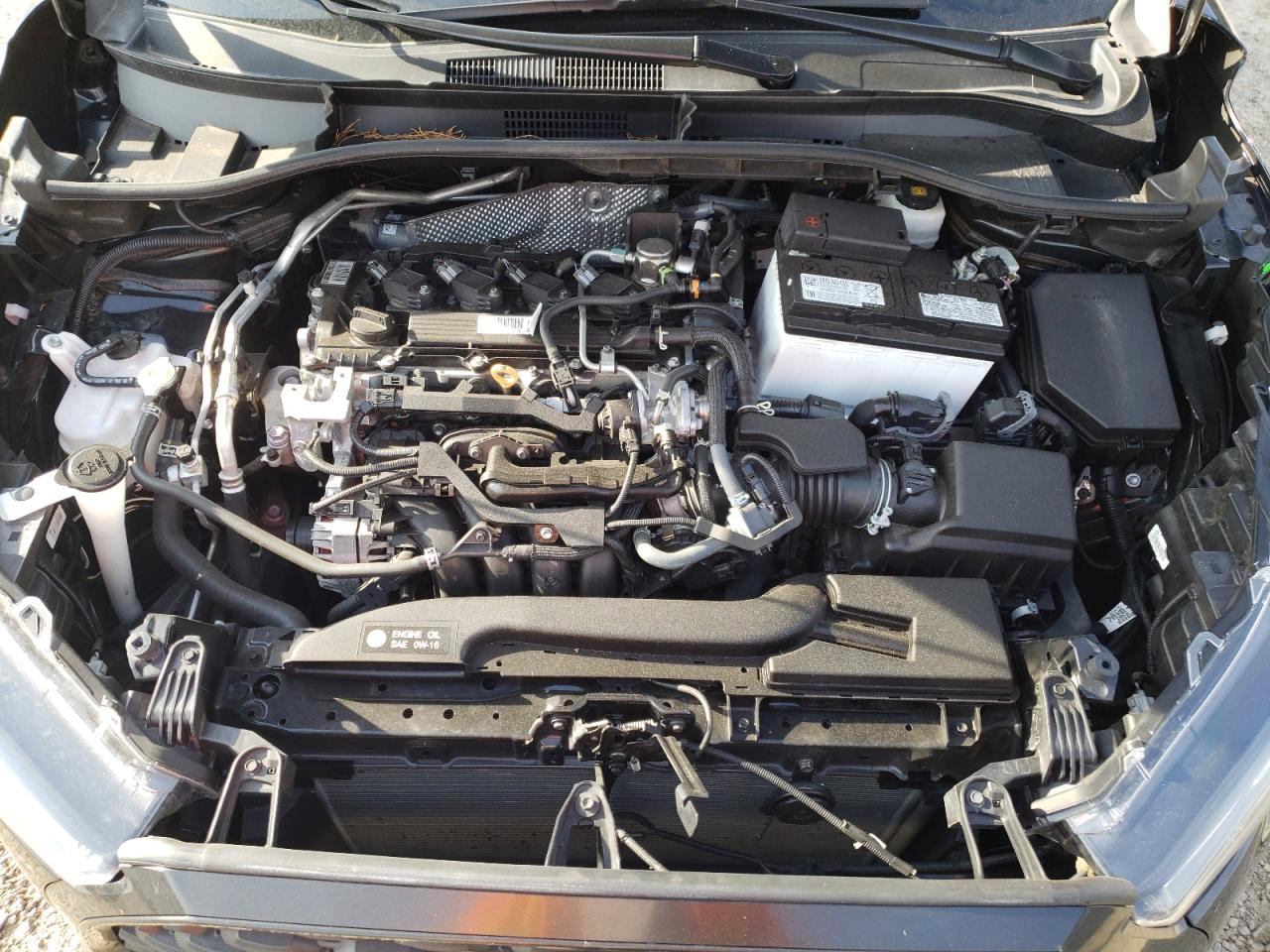 2022 Toyota Corolla Cross L VIN: 7MUAAABG7NV018863 Lot: 81265985