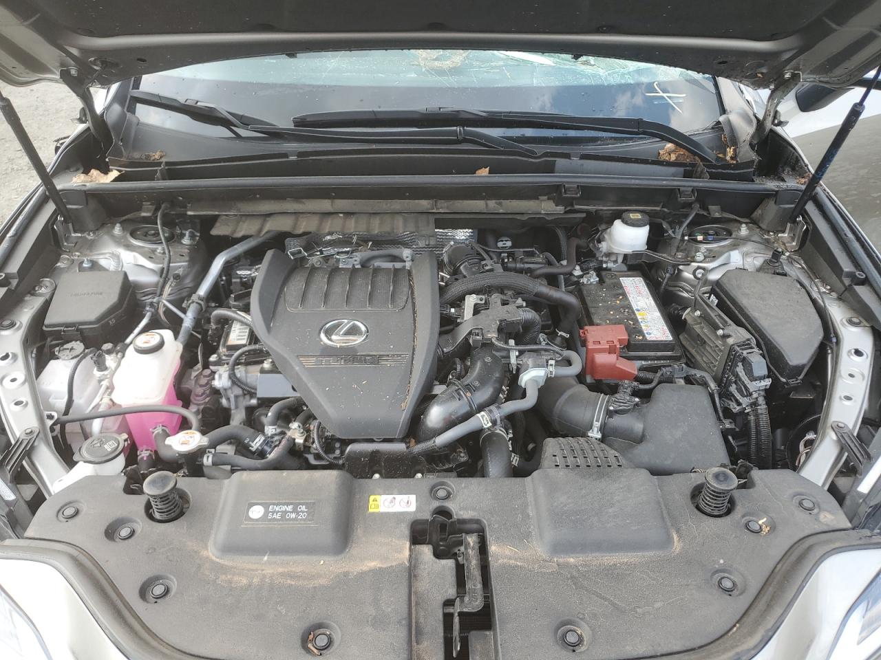 2023 Lexus Nx 350 VIN: JTJAGCEZ8P5005465 Lot: 71484135